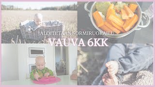 VAUVA 6KK  ALOITETAAN SORMIRUOKAILU [upl. by Aseel31]