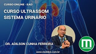 Curso de Ultrassom USG do Sistema Urinário [upl. by Ecilegna]