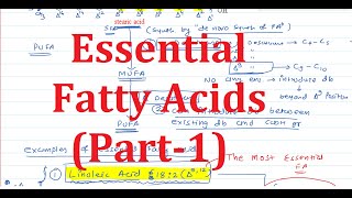 8 Essential Fatty Acids Part1 [upl. by Nifled]