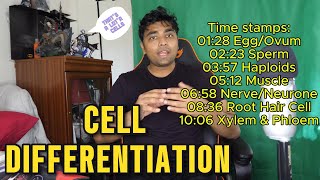 SPECIALISED CELLS Best Lesson Ever gcse cells cellbiology mrroshan [upl. by Lukash360]