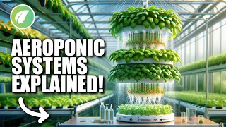 Unveiling the Wonders of Aeroponic Farming Everything You Need to Know [upl. by Suivatal]