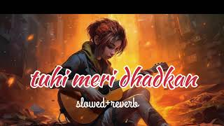 tuhi meri dhadkan slowed and reverb song hindi me lofisong lofisharma [upl. by Netsirk]