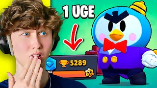 Sådan Fik Jeg 5000 POKALER I Brawl Stars På 1 UGE [upl. by Jordon]