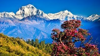 The Most Beautiful Place Pokhara Nepal  世界一美しい町、ポカラ Trekking In Nepal [upl. by Laleb]