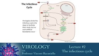 Virology 2014 lecture 2  The infectious cycle [upl. by Ahseila]