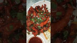 garlicchicken Chickencrispy best chinese in silvassa [upl. by Nigen]