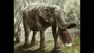 Platybelodon Sound Effects 🐘 🔊 [upl. by Ceporah]