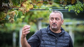 Bodegas Forjas del Salnes  Golliardo A Telleira Blanco [upl. by Keavy]