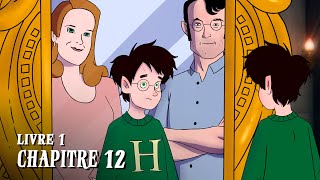 HARRY POTTER  Livre 1  Chapitre 12  LE MIROIR DU RISED [upl. by Haland991]