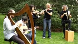 Traditional Irish Music by quotThe Ghilliesquot danse Kesh jig  Eddy kelly jig et Drowsy Maggie [upl. by Enileuqcaj]