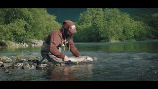 BORGUNDDry fly fishing for a big brown trout in a ​stunning mountain river [upl. by Anot]