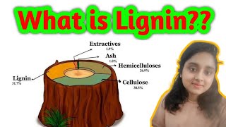 What is Lignin  All about lignin  Biotechnology Biochemistry [upl. by Aisena]