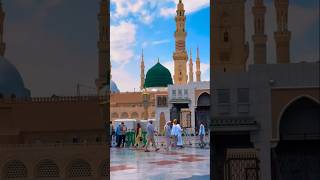 Wo Shehr e Mohabbat  Beautiful Naat Sharif [upl. by Rene]