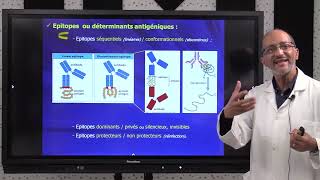 2 IMMUNOLOGIE S5  Introduction générale amp Notion dantigène Part2 [upl. by Monroe]