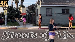 The Streets of LA  Figueroa Street  Episode 1  Los Angeles Ca 4K [upl. by Metts559]