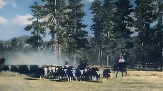 John Wayne  Helltown 1937 Western Colorized directed by Charles Barton  written by Zane Grey [upl. by Etyam]