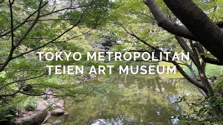 東京都庭園美術館TOKYO METROPOLITAN TEIEN ART MUSEUM【切り抜き】 [upl. by Liagabba]