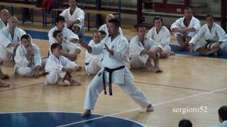 Stage NAITO SenseiKURIHARA Sensei2010part 3 of 6 HD [upl. by Hoseia]