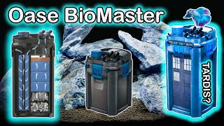 Oase Biomaster Thermo Unboxing and Setup The Best Aquarium Filter [upl. by Tol]