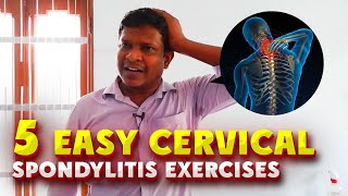 Cervical Spondylosis Exercises  Progressions [upl. by Orelie]