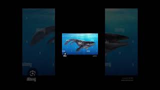 Cretoxyrhina vs Prognathodon cretoxyrhina prognathodon shortvideo sharks shorts prehistoricsea [upl. by Araec]