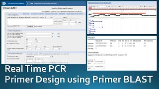 Primer designing for real time PCR using NCBI Primer Blast [upl. by Constancia]