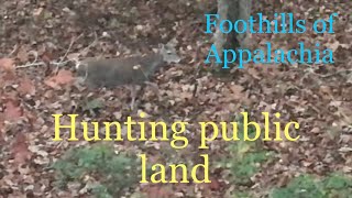 Deer hunting public land FoothillsofAppalachianj6cq [upl. by Locin]