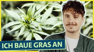 Selbstexperiment Cannabis Anbau Wie funktioniert’s und was kann schief gehen Teil 1 [upl. by Ttezil]