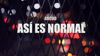 Ancud  Así es Normal lyric video [upl. by Anaela848]