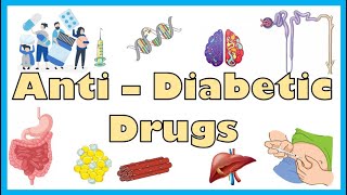 AntiDiabetic Medications  Types Mechanism Of Action Indications Side Effects Contraindications [upl. by Stucker]