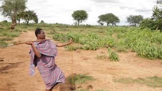 How to Throw a Spear Like a Real Maasai Warrior [upl. by Ernesto]