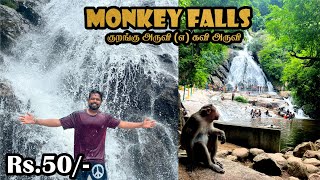 🔥Open பண்ணியாச்சு மக்களே 👈KAVI ARUVI l MONKEY WATER FALLS l POLLACHI l VALPARAI 😍 [upl. by Ahtela]