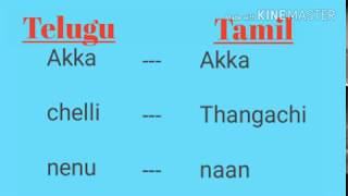 Learn Tamil through telugu part1  telugu latest [upl. by Vasquez]