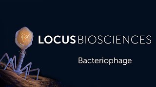 What is Bacteriophage [upl. by Esereht]