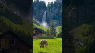 Waterfall View From Switzerland ytshorts travel ytshort youtubeshorts shorts [upl. by Savick]