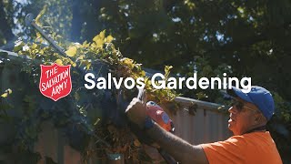 Salvo Story Salvos Gardening in Canberra [upl. by Kentiggerma82]