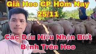 Tổng Hợp Các Dấu Hiệu Nhận Biết Bệnh Trên Heonongtraihoakieu [upl. by Lanny]