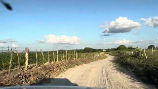 Exploring the outback of Baraúna Paraíba Brazil [upl. by Croner965]