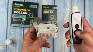 Testing the Barktec Citronella Spray Collar with Remote  eDog Australia [upl. by Ahsocin]