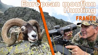 European mouflon Hunting in France  Chasse au Mouflon en France  2021 [upl. by Rotkiv864]