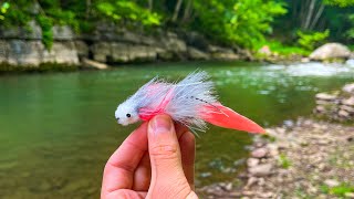 INCREDIBLE Fly Fishing for Big Brown Trout Streamer Fishing [upl. by Chadd200]