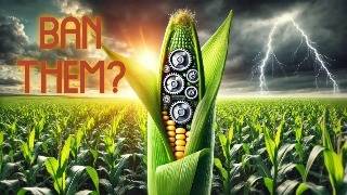 Are GMO Foods Worth The Hype [upl. by Attenohs444]