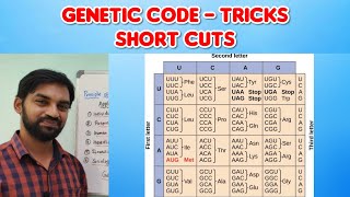 Genetic code  Tricks and Short cuts  Molecular biology  Tamil [upl. by Malarkey]