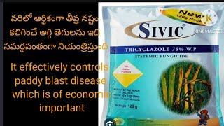 SIVIC  NACL INDUSTRIES Limited  TRICYCLAZOLE 75 WP  SYSTEMIC FUNGICIDE  120Gms  300Rs sivic [upl. by Inaffets363]