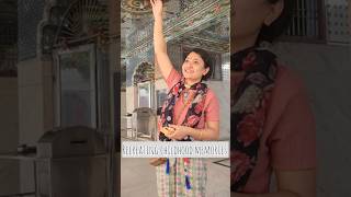 Little Joy Of Homemaker minivlog rituals birthdaybash hindufestival dayout temple shorts [upl. by Healey]