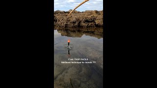 Comment pecher facilement en bord de mer  meilleure video de peche [upl. by Simeon]