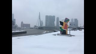 HET SNEEUWT IN ROTTERDAM [upl. by Ellainad883]