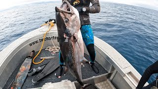 40KG Dogtooth Tuna Takes Float Down 30 Metres  SPEARFISHING TUNA [upl. by Euqinue]