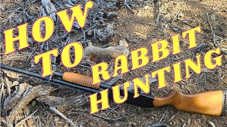 How to find and hunt cottontail rabbits [upl. by Nivalc]