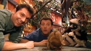 Zoboomafoo Cap 36 quotLas Colasquot [upl. by Eahsal]